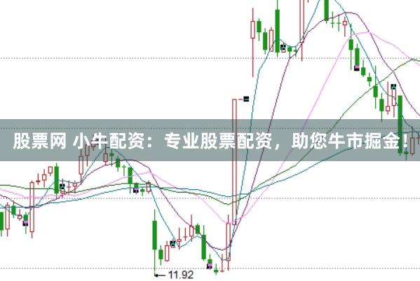 股票网 小牛配资：专业股票配资，助您牛市掘金！