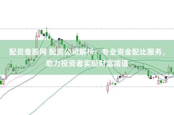 配资查股网 配资公司解析：专业资金配比服务，助力投资者实现财富增值