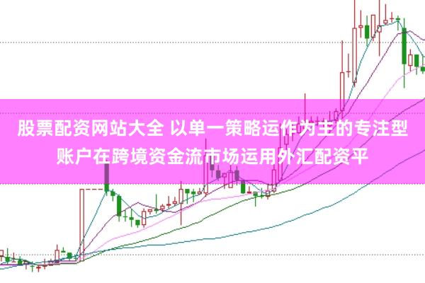 股票配资网站大全 以单一策略运作为主的专注型账户在跨境资金流市场运用外汇配资平