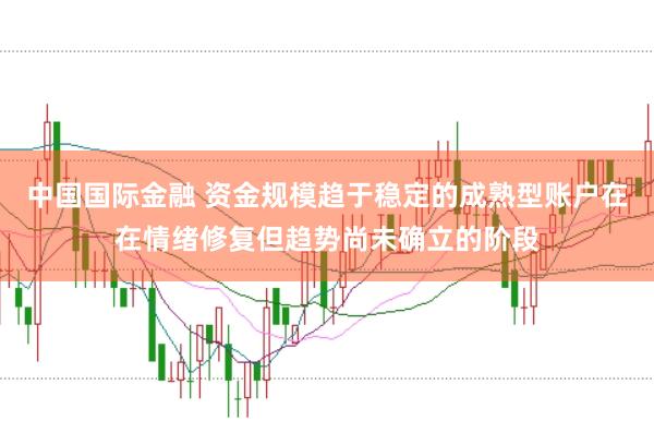 中国国际金融 资金规模趋于稳定的成熟型账户在在情绪修复但趋势尚未确立的阶段
