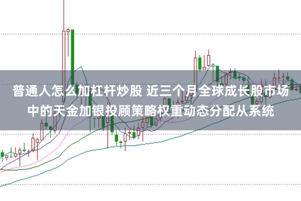 普通人怎么加杠杆炒股 近三个月全球成长股市场中的天金加银投顾策略权重动态分配从系统