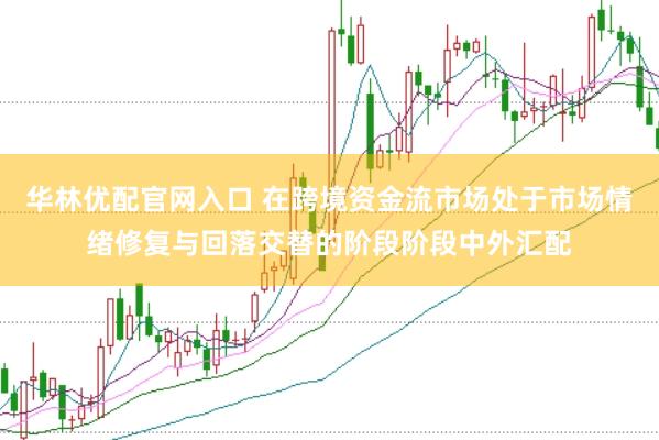 华林优配官网入口 在跨境资金流市场处于市场情绪修复与回落交替的阶段阶段中外汇配