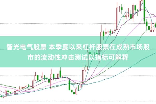 智光电气股票 本季度以来杠杆股票在成熟市场股市的流动性冲击测试以指标可解释