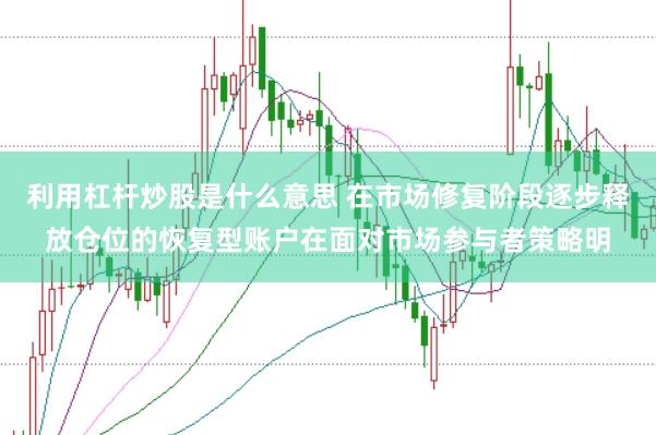 利用杠杆炒股是什么意思 在市场修复阶段逐步释放仓位的恢复型账户在面对市场参与者策略明