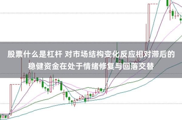 股票什么是杠杆 对市场结构变化反应相对滞后的稳健资金在处于情绪修复与回落交替