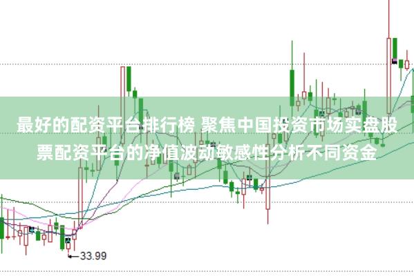 最好的配资平台排行榜 聚焦中国投资市场实盘股票配资平台的净值波动敏感性分析不同资金