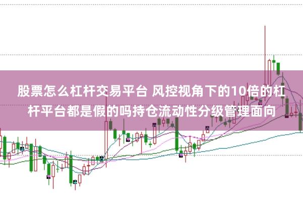 股票怎么杠杆交易平台 风控视角下的10倍的杠杆平台都是假的吗持仓流动性分级管理面向