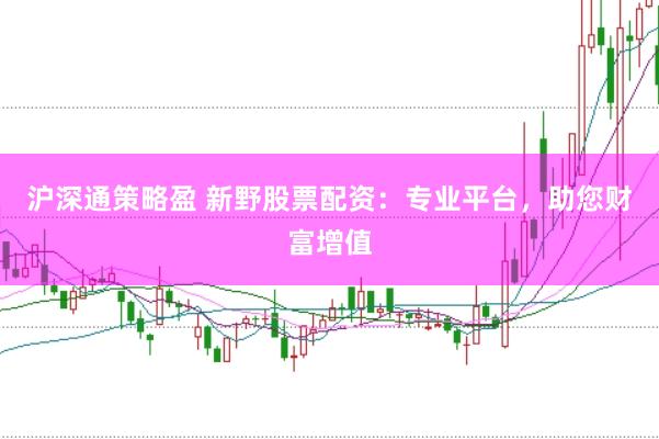沪深通策略盈 新野股票配资：专业平台，助您财富增值