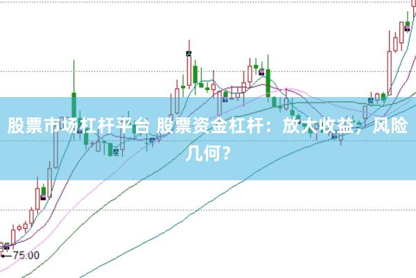 股票市场杠杆平台 股票资金杠杆：放大收益，风险几何？
