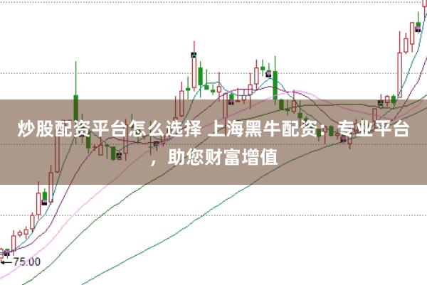 炒股配资平台怎么选择 上海黑牛配资：专业平台，助您财富增值