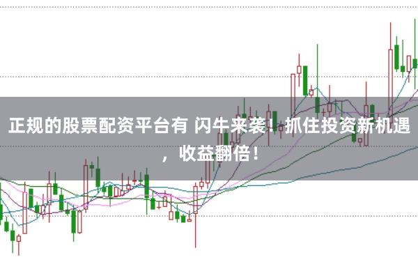 正规的股票配资平台有 闪牛来袭！抓住投资新机遇，收益翻倍！