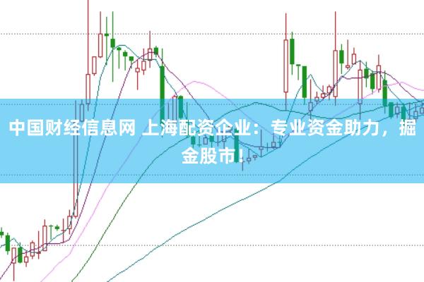 中国财经信息网 上海配资企业：专业资金助力，掘金股市！